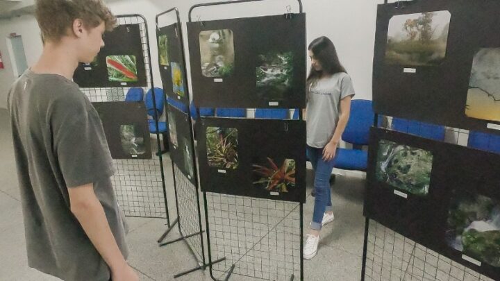 Exposição na sede da Prefeitura retrata belezas de Indaial em 86 fotos