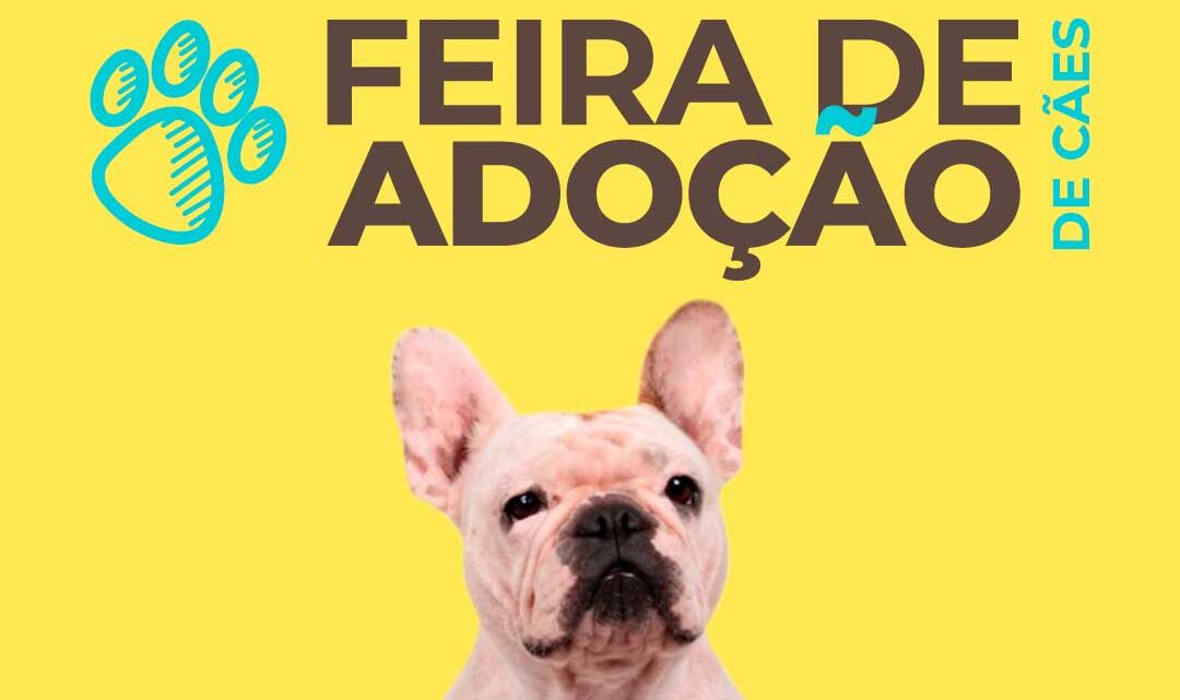 Blumenau recebe feira de adoção de cães no fim de semana