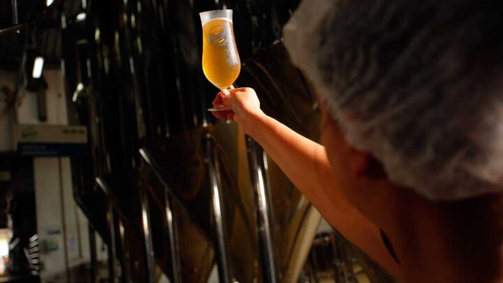 Rótulo a 10 mãos: brassagem colaborativa produzirá rótulo comemorativo dos cinco anos da Cerveja Blumenau