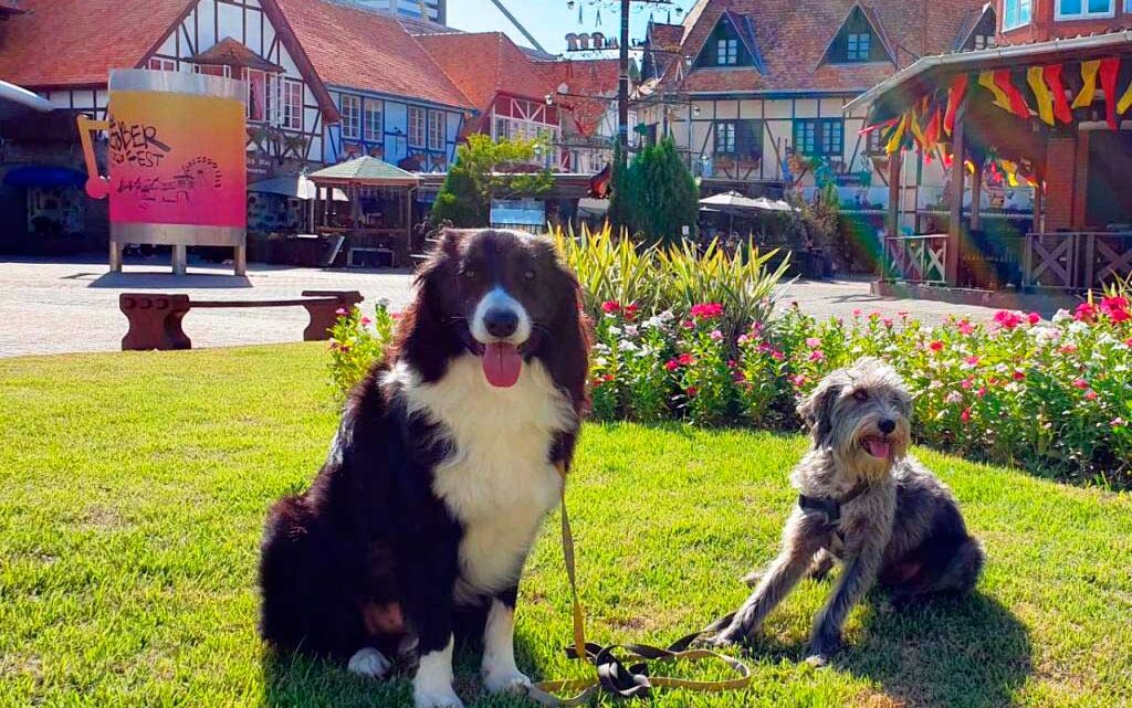 Pets na Vila Germânica: o que a permissão trouxe para o ponto turístico mais conhecido da cidade Pets na Vila Germânica: o que a permissão trouxe para o ponto turístico mais conhecido da cidade
