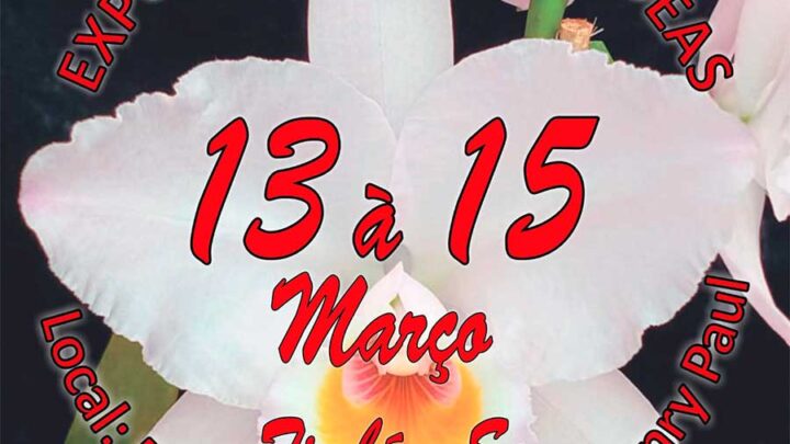 Vem aí 31ª Exposição de Orquídeas