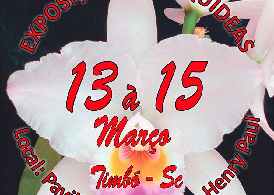 Vem aí 31ª Exposição de Orquídeas
