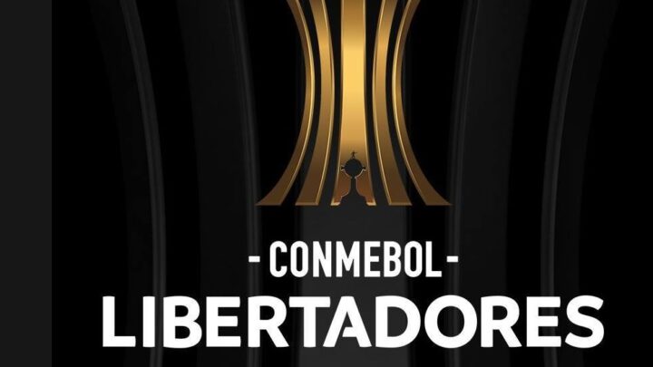 Cada dia mais digital, Havan investe nas transmissões da Copa Libertadores pelo Facebook