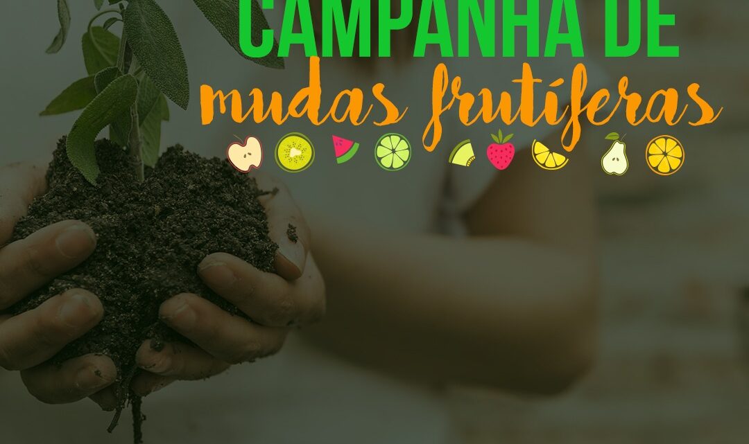 Campanha de Mudas Frutíferas de Timbó recebe pedidos até o dia 30 de junho