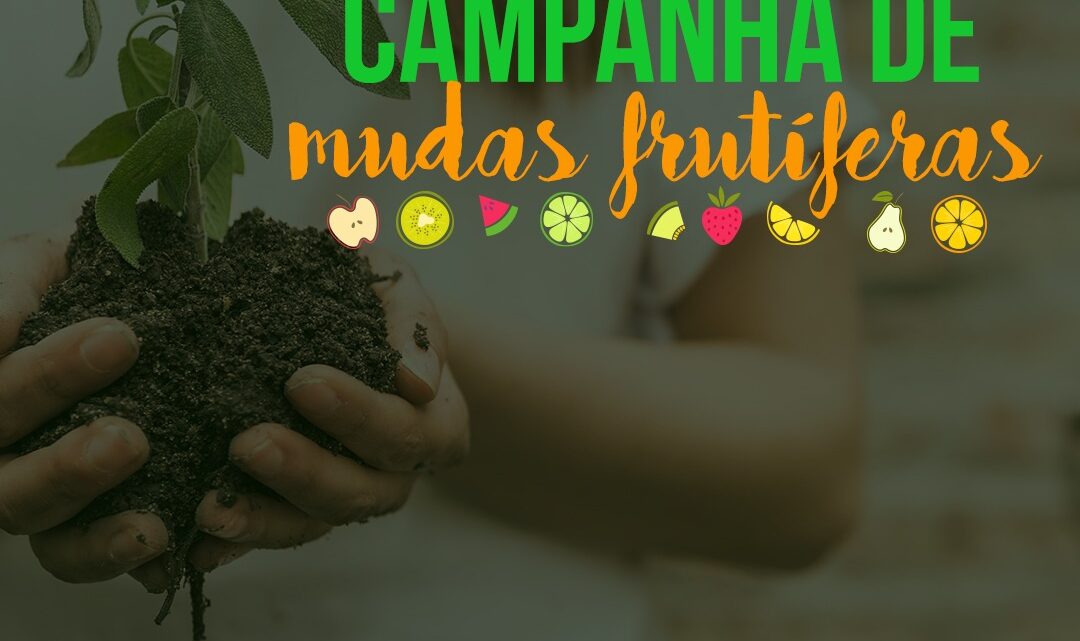 Campanha de Mudas Frutíferas de Timbó recebe pedidos até o dia 30 de junho Campanha de Mudas Frutíferas de Timbó recebe pedidos até o dia 30 de junho