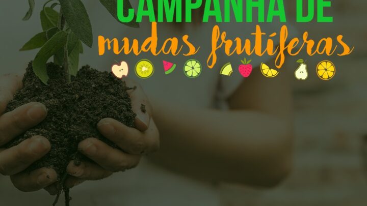 Campanha de Mudas Frutíferas de Timbó recebe pedidos até o dia 30 de junho