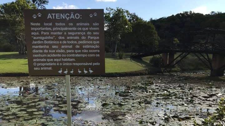 Departamento de Turismo instala placas pedindo proteção aos patos que vivem no Parque Jardim Botânico