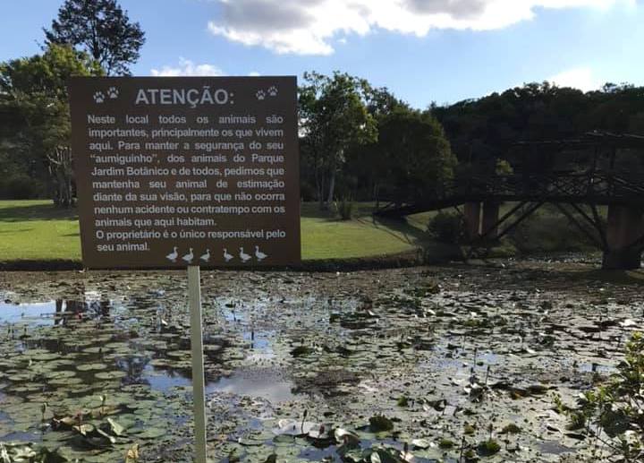 Departamento de Turismo instala placas pedindo proteção aos patos que vivem no Parque Jardim Botânico