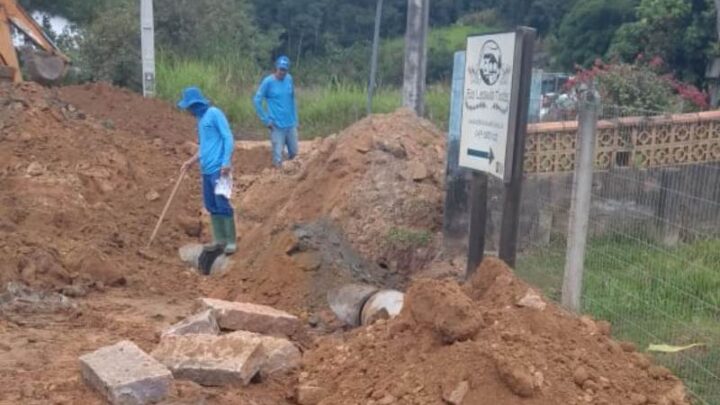 Tifas de Timbó recebem atenção especial