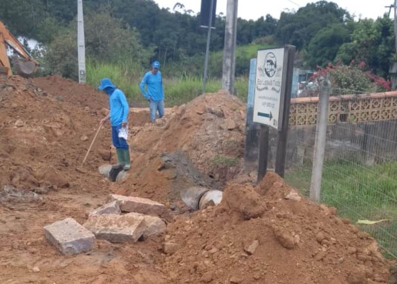 Tifas de Timbó recebem atenção especial