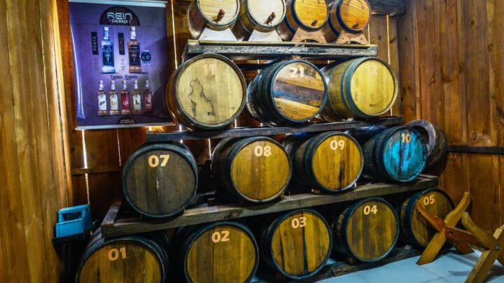 Expocachaça 2021 – Cachaças catarinenses recebem 16 premiações