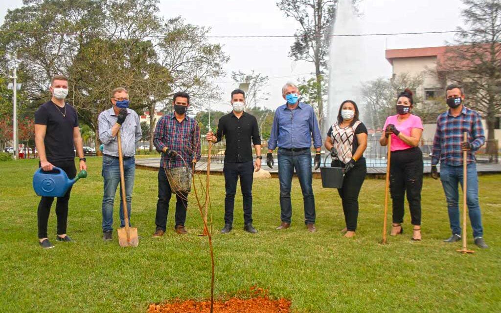 Prefeitura de Timbó e SAMAE realizam plantio de árvores no Parque Central