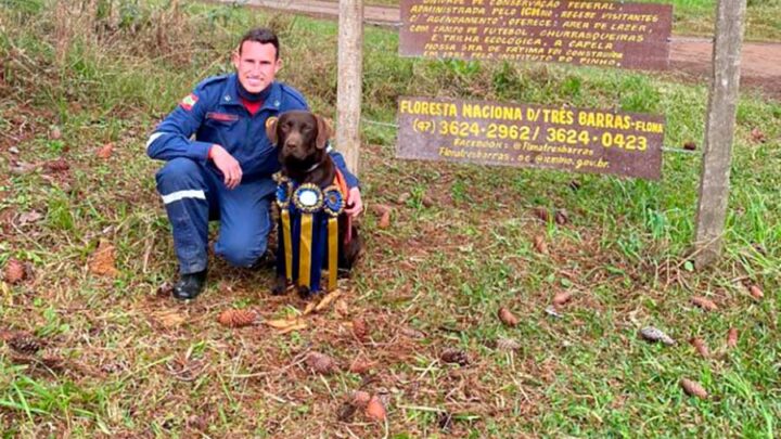Bono é o novo cão certificado do Corpo de Bombeiros Militar de SC para atuar em buscas