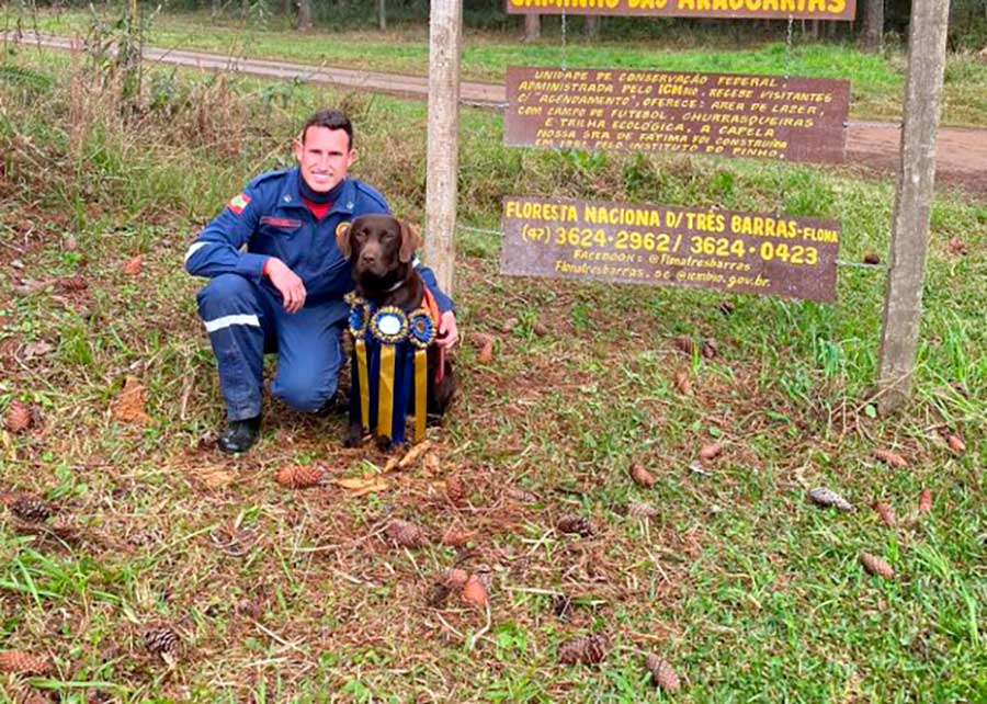 Bono é o novo cão certificado do Corpo de Bombeiros Militar de SC para atuar em buscas