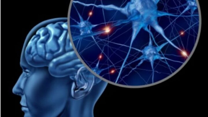 Dia Nacional de Conscientização sobre a Esclerose Múltipla reforça a necessidade do diagnóstico precoce