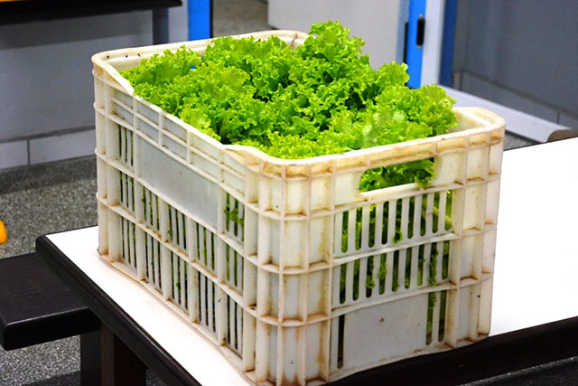 Prefeitura de Ascurra abre edital para destinar alimentos da agricultura familiar para merenda escolar