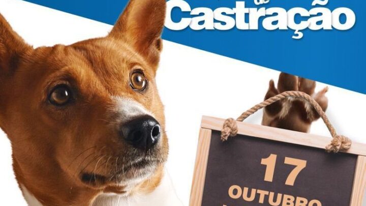 Indaial – Abertas as inscrições para o oitavo Mutirão de Castração Animal