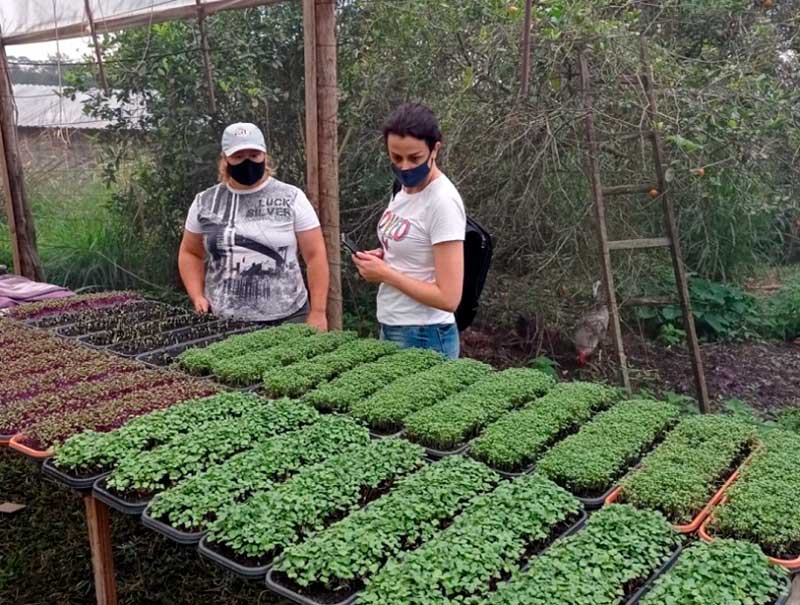 Indaial inicia estudo para criação de nova rota turística com foco no desenvolvimento sustentável