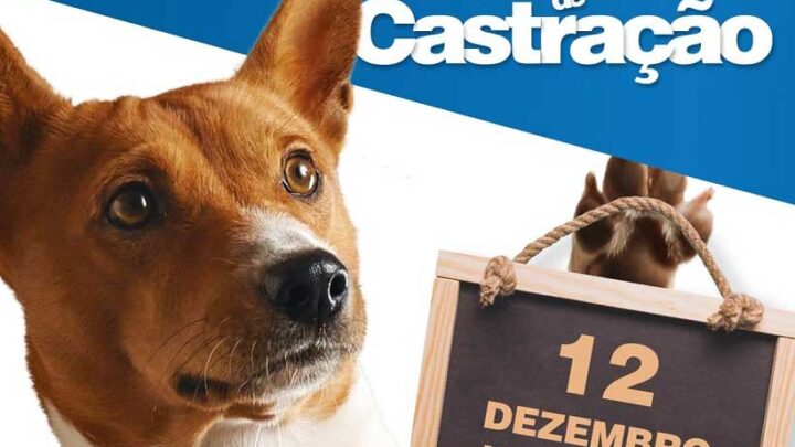 Indaial – Abertas as inscrições para o décimo Mutirão de Castração Animal