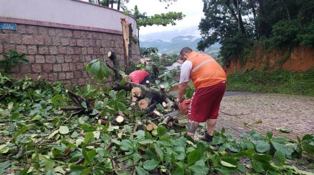 Equipes da Prefeitura de Timbó estão de prontidão atendendo ocorrências causadas pelas fortes chuvas e ventos