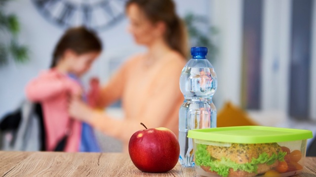 Nutricionista orienta como montar lancheiras nutritivas e práticas