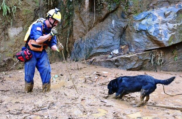 Equipe do CBMSC localiza 10 vítimas entre os escombros em Petrópolis