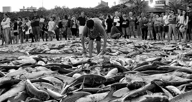 Fotógrafo busca apoio para livro-arte sobre a pesca artesanal da tainha em Bombinhas