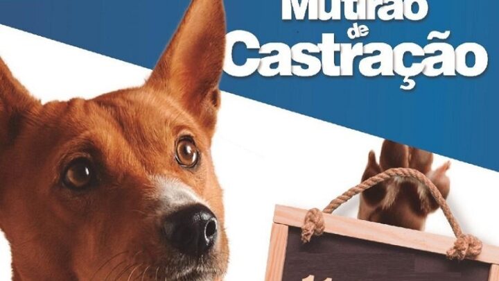 Abertas as inscrições para o 5° Mutirão de Castração Animal de 2022 em Indaial