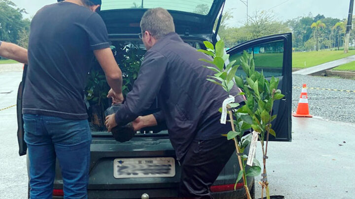 Timbó – Departamento de Agricultura entrega mais de 1500 mudas da Campanha de Frutíferas 2022
