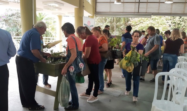 Epagri e Agricultura promovem Troca de Sementes e Mudas dos Quintais Produtivos de Indaial