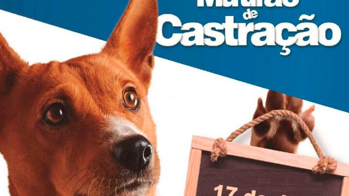 Indaial – Abertas as inscrições para o 6° Mutirão de Castração Animal de 2022