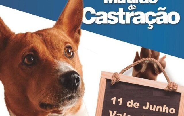 Últimos dias de inscrição no 5° Mutirão de Castração Animal em Indaial