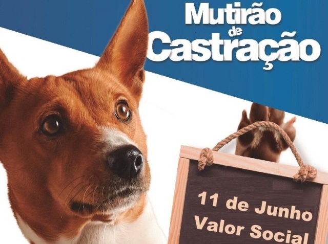 Últimos dias de inscrição no 5° Mutirão de Castração Animal em Indaial