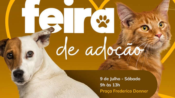 Feira de Adoção de cães e gatos acontece neste sábado em Timbó