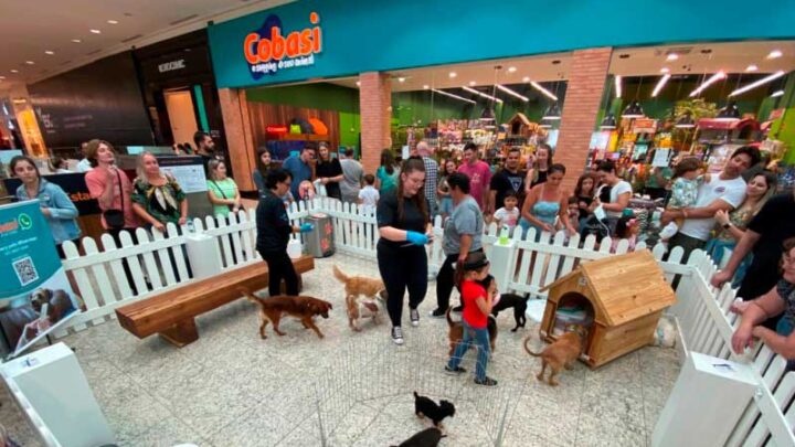 ADOÇÃO DE CÃES | Norte Shopping promove “Feira de Adoção” em parceria com o Lar Silvana
