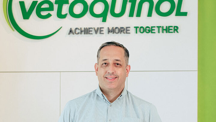 Sucesso da criação de cavalos começa pela saúde dos cascos