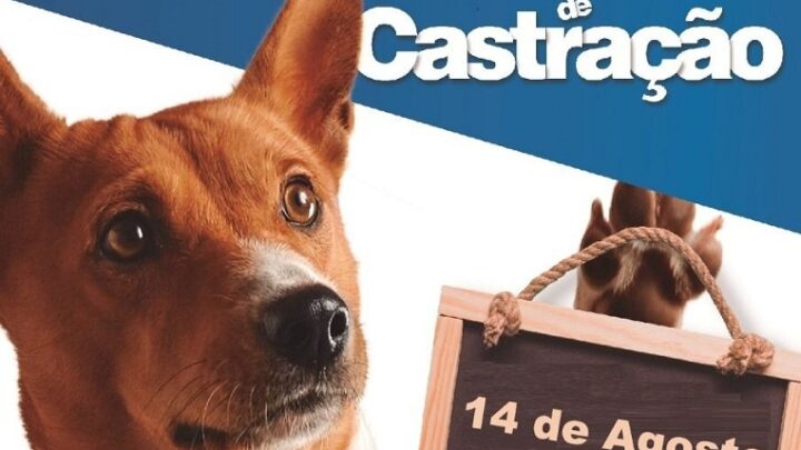 Indaial – Abertas as inscrições para o 7° Mutirão de Castração Animal de 2022