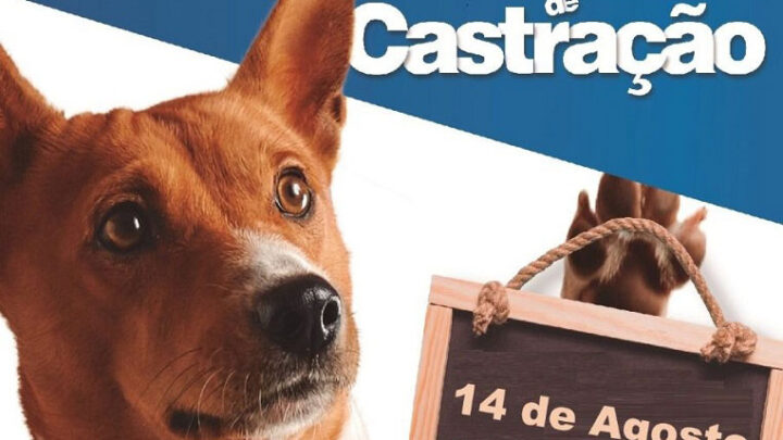 Últimos dias de inscrições no 7° Mutirão de Castração Animal de 2022