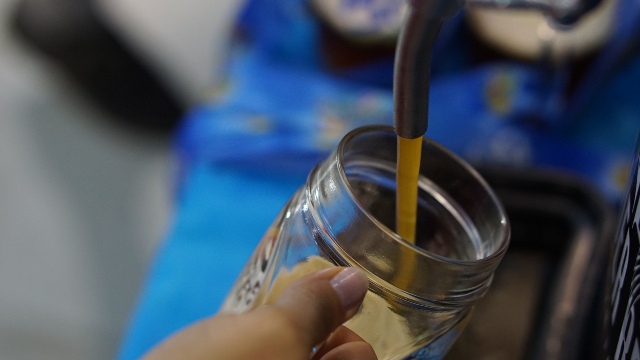 Timbó – Confira os estilos de chope que terão na 30ª Festa do Imigrante Timbó – Confira os estilos de chope que terão na 30ª Festa do Imigrante