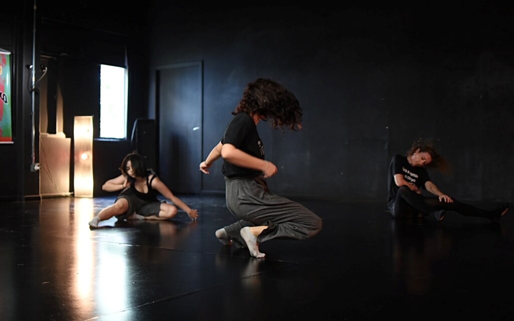 Estão abertas as inscrições para Danças | Falas | Escritas, que seleciona dois trabalhos da dança, de Santa Catarina, para mostra pública em Blumenau Estão abertas as inscrições para Danças | Falas | Escritas, que seleciona dois trabalhos da dança, de Santa Catarina, para mostra pública em Blumenau