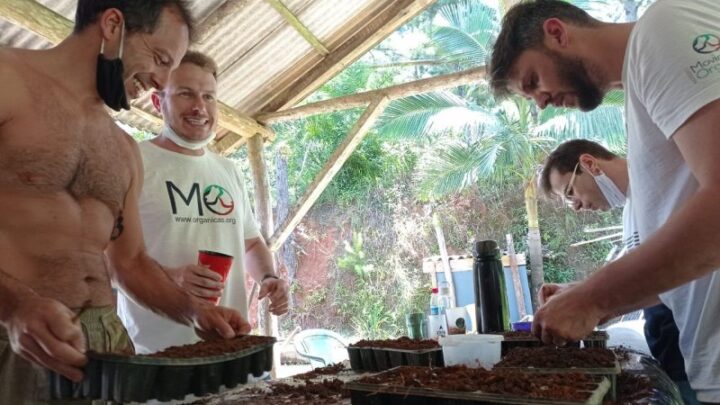 ONG de Blumenau oferece encontros e atividades gratuitas para reconexão com a natureza