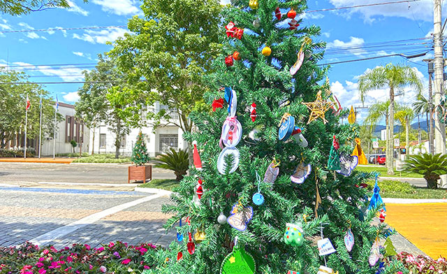Unidades de Ensino de Timbó já podem se inscrever para a Tannenbaumfest