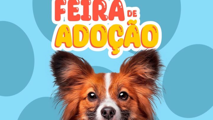 ADOÇÃO | Norte Shopping promove a tradicional ‘Feira Pet’ neste fim de semana