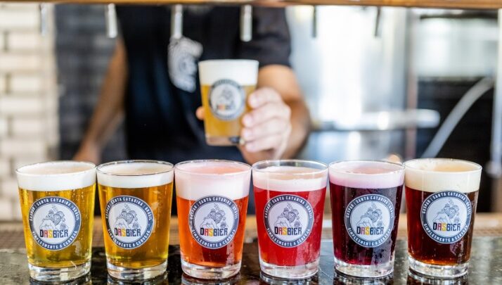 Das Bier completa 16 anos com previsão de dobrar produção e lançamento de novo rótulo sem álcool