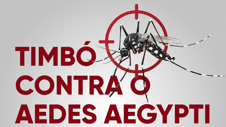 Vigilância Sanitária de Timbó orienta sobre proliferação do mosquito da dengue