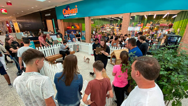 Fim de semana tem ‘Feira de Adoção’ no Norte Shopping