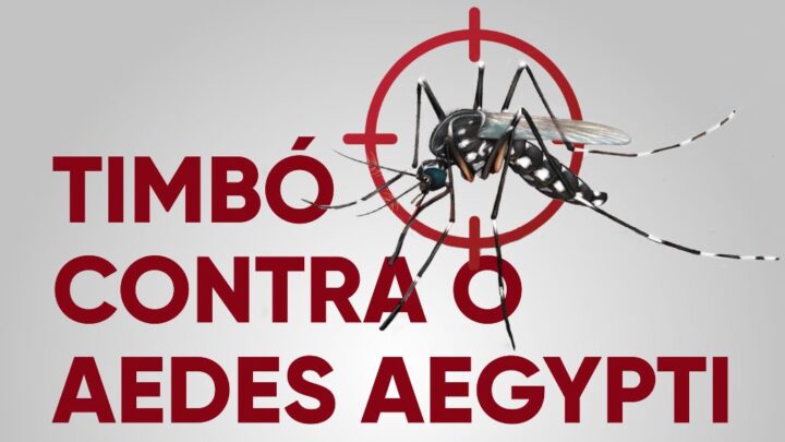 Vigilância Sanitária de Timbó alerta para alta transmissão de dengue, chikungunya e Zika vírus