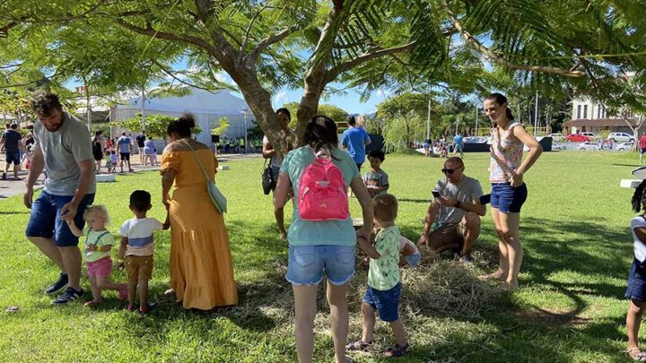 Caça aos Ovos Dourados atrai mais de 7 mil pessoas para o Parque Central de Timbó