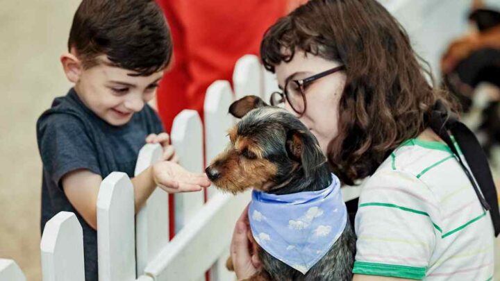 PETS | Fim de semana terá ‘Feira de Adoção’ no Norte Shopping