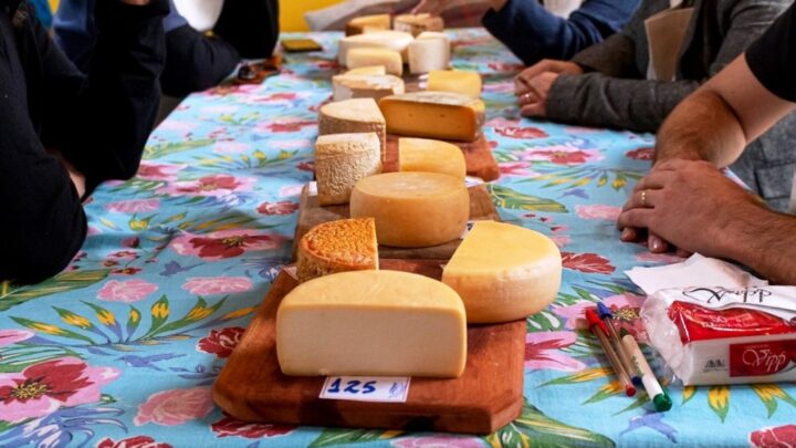 6ª edição do concurso Prêmio Queijo Brasil acontecerá entre os dias 7 e 9 de julho